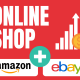 Online Shop erstellen + Amazon &...
